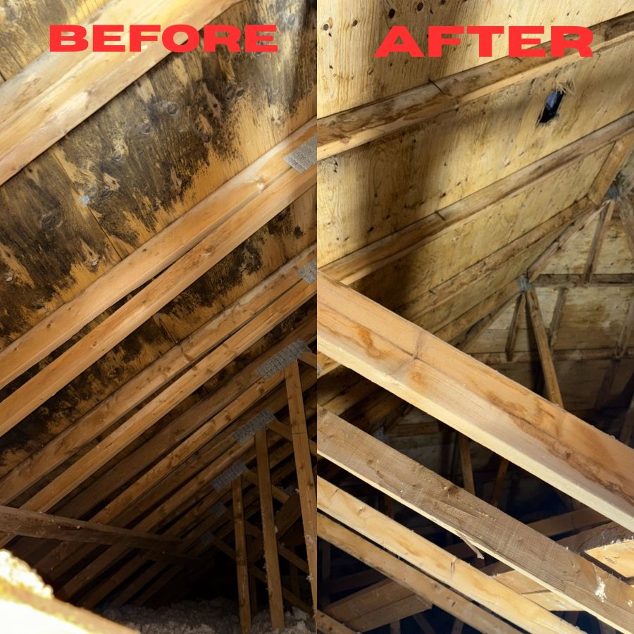 Attic roof deck before and after professional mold remediation