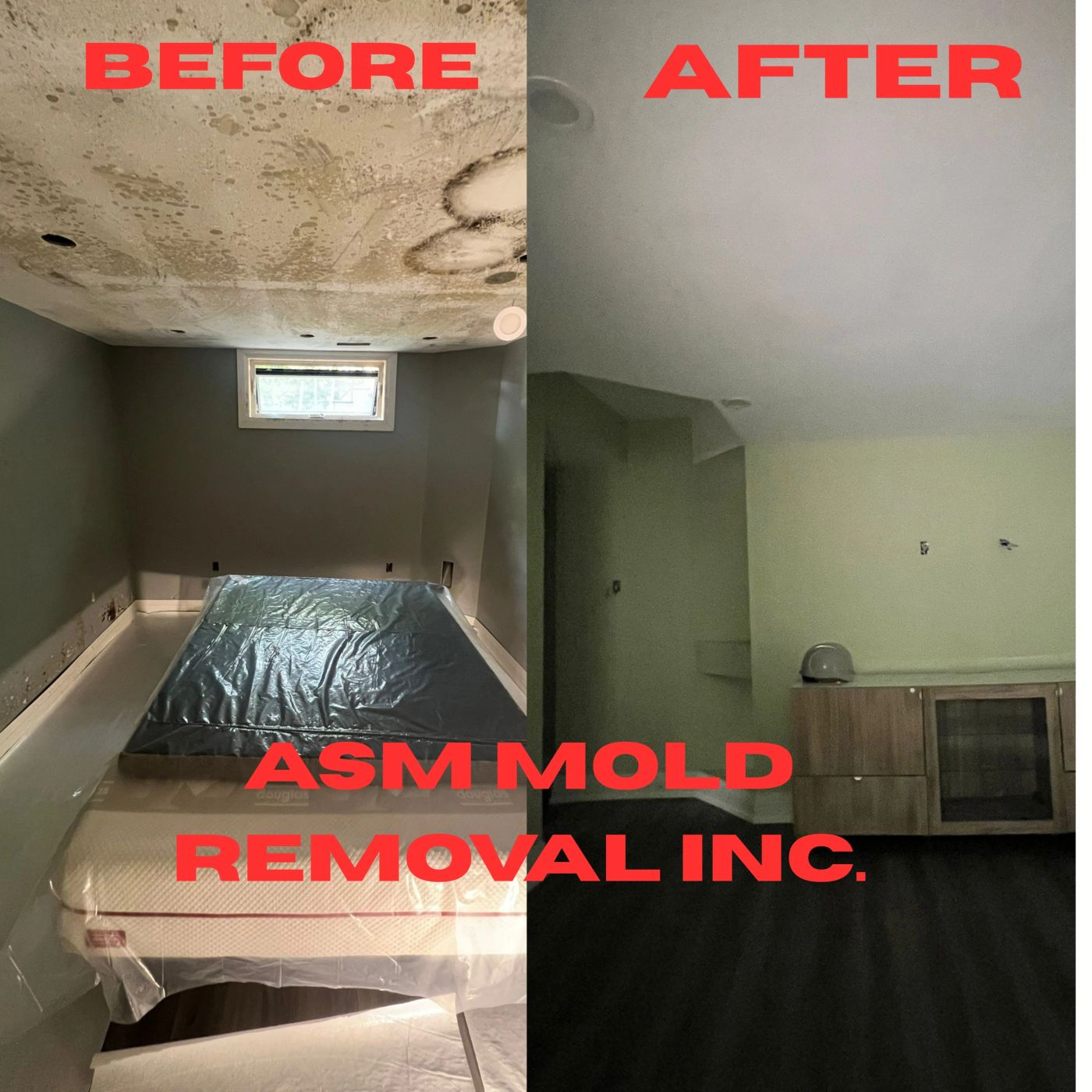 Basement room restoration