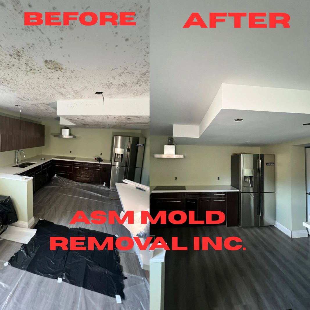 Water damage before and after professional mold remediation