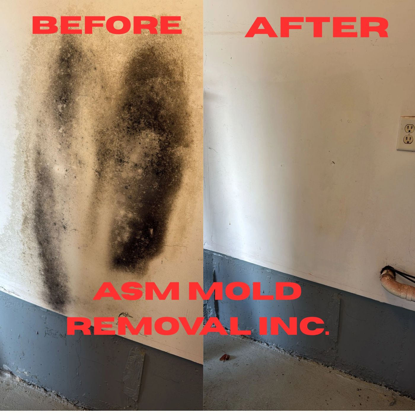 Basement wall before and after professional mold remediation
